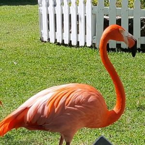 Meet your Posher, Jasmin